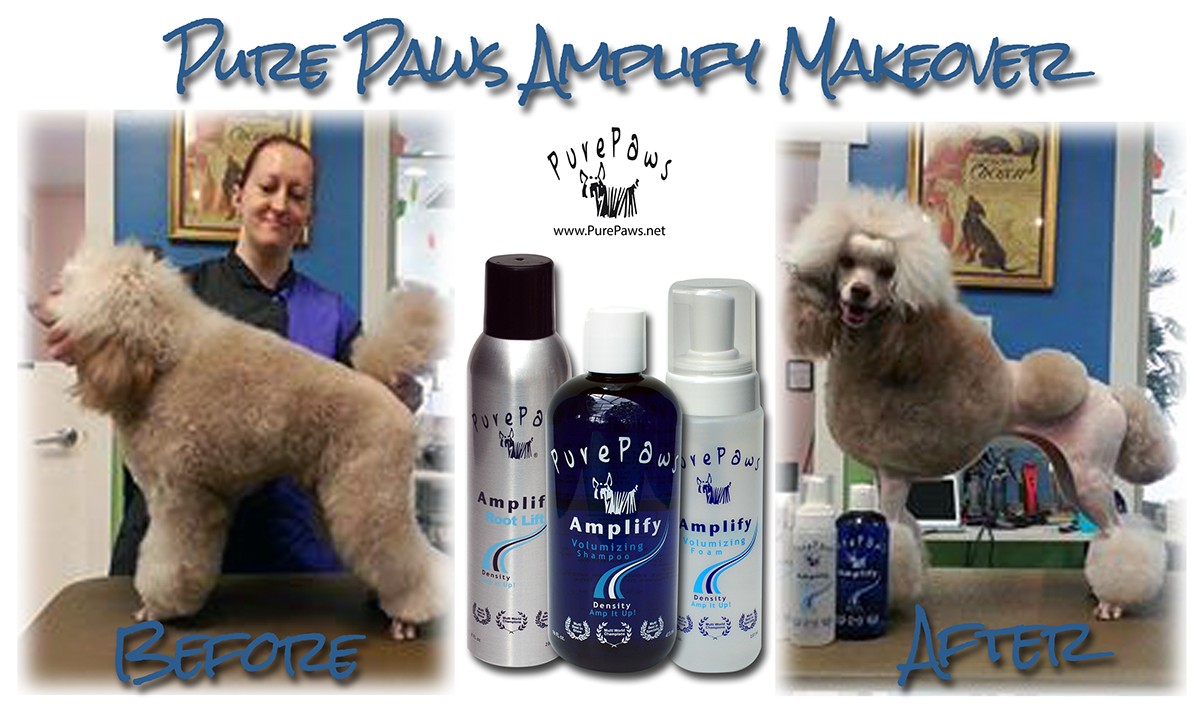 PURE PAWS AUSTRALIA